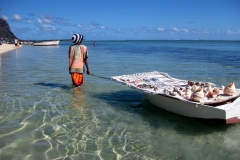 He Sells Sea Shells