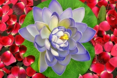 Lotus and Rose