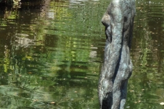 Water Nymph