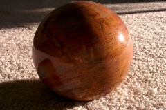 Petrified Wood Sphere